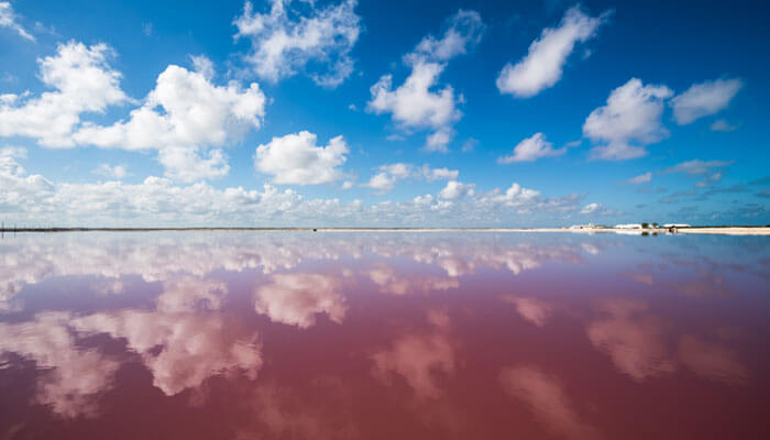 Hermosa vista del agua rosa en Las Coloradas
