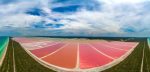 Las Coloradas un paraíso rosa